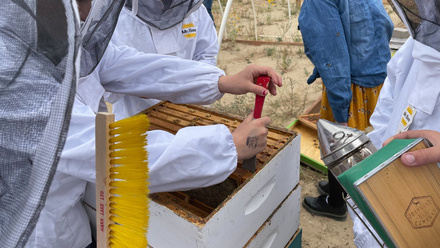 STEAD_Honey Extraction.jpg