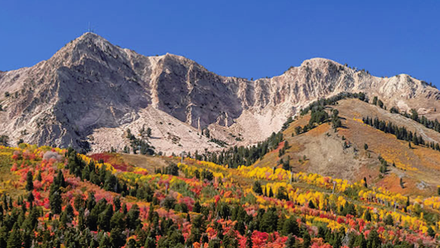 BOD Header 1920x330 Mountains.png