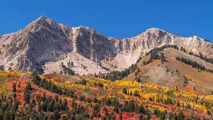 BOD Header 1920x330 Mountains.png