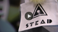 STEAD_9news.png