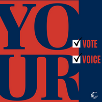 yourvotevoiceinstagram.png