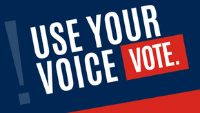 Use-Your-VoiceInstagram.png