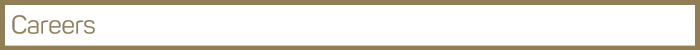 NEWS-Header-Careers.png