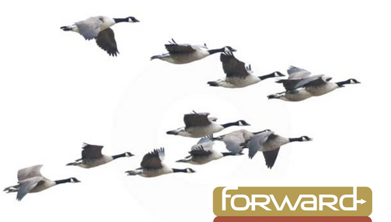 Screenshot 2025-11-04 at 2.08.52 PM.png