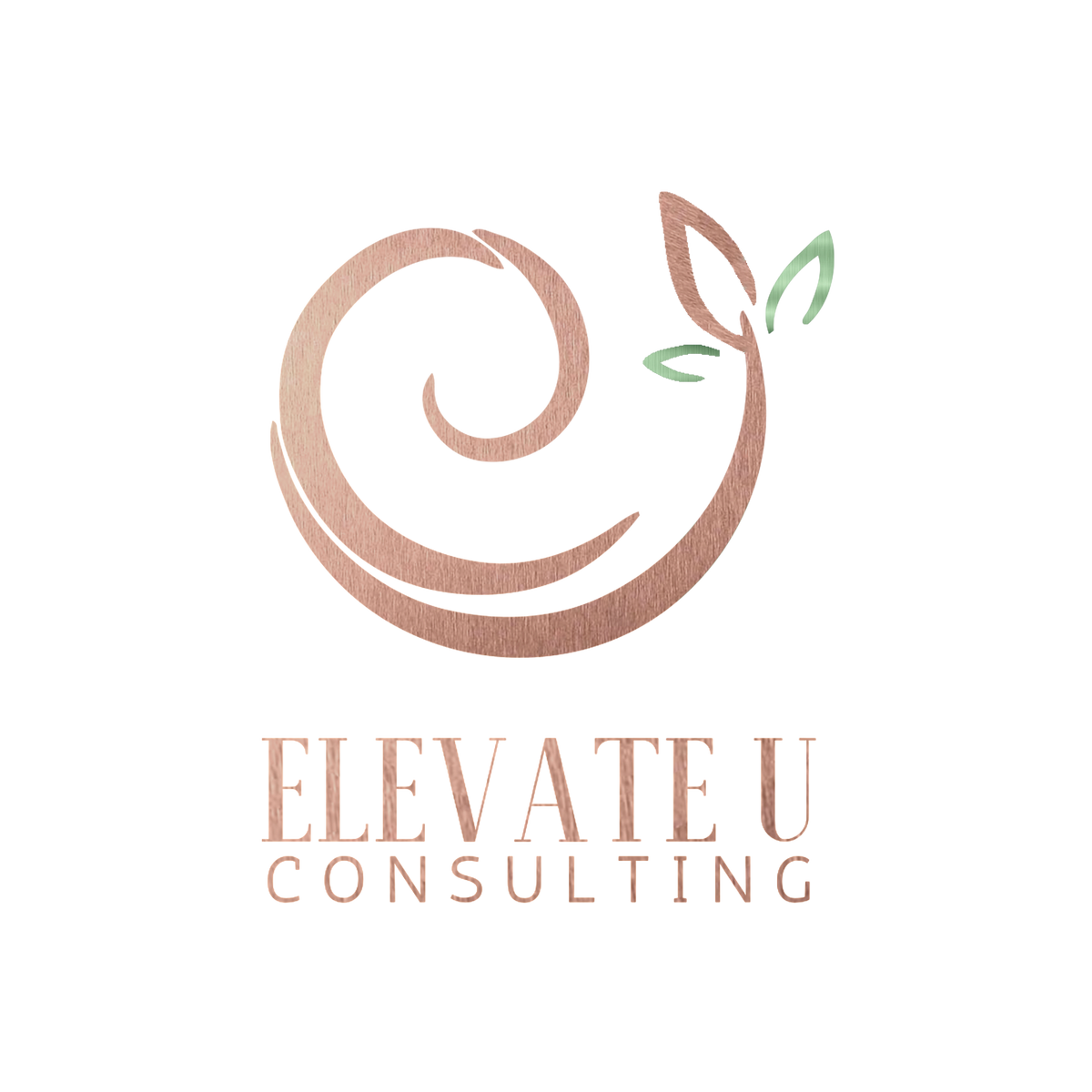 Elevate U Consulting