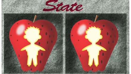 The future of charter schools rests with Supreme Court.jpg